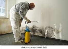 Best Black Mold Removal in Dano, CO